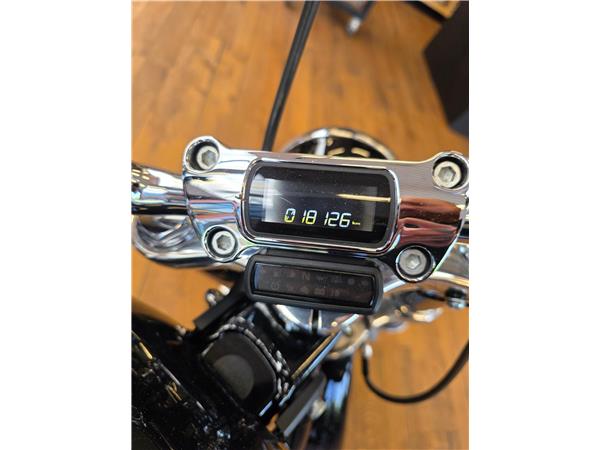 2023 harley-davidson FXST Softail Standard 107