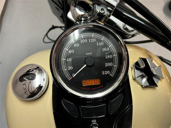 2015 HARLEY-DAVIDSON SLIM