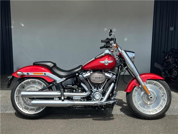 2019 Harley-Davidson Softail