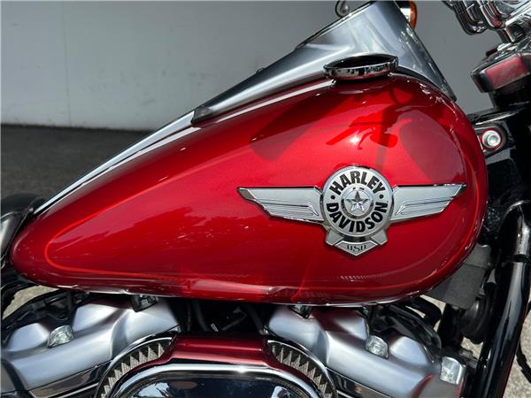 2019 Harley-Davidson Softail