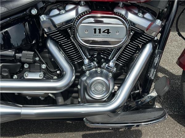 2019 Harley-Davidson Softail