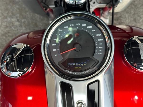 2019 Harley-Davidson Softail