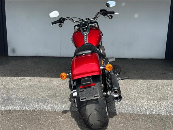 2019 Harley-Davidson Softail