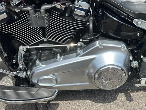 2019 Harley-Davidson Softail