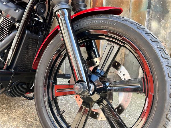 2024 Harley-Davidson Softail