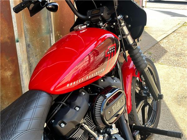 2024 Harley-Davidson Softail