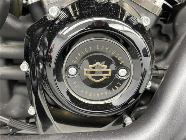2020 Harley-Davidson Fat Boy 114
