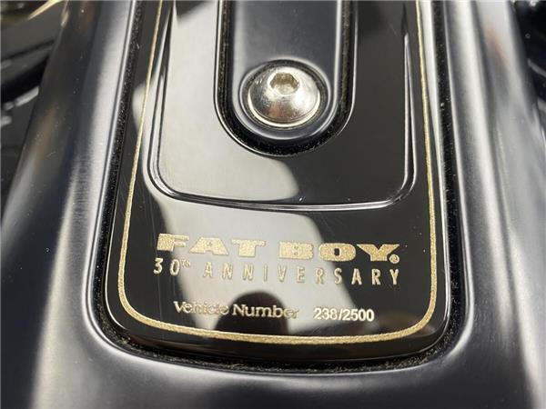 2020 Harley-Davidson Fat Boy 114