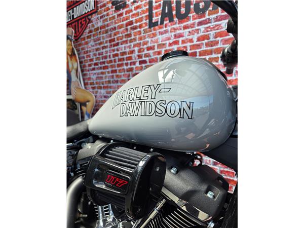 2025 harley-davidson FXLRS Low Rider S 117