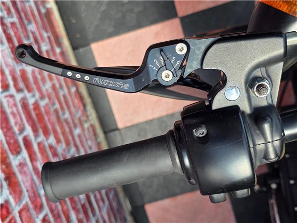 2015 harley-davidson XL 883 N Sportster Iron ABS