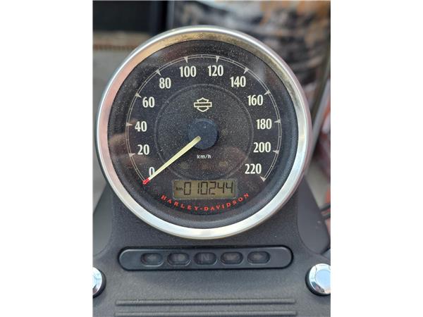 2015 harley-davidson XL 883 N Sportster Iron ABS