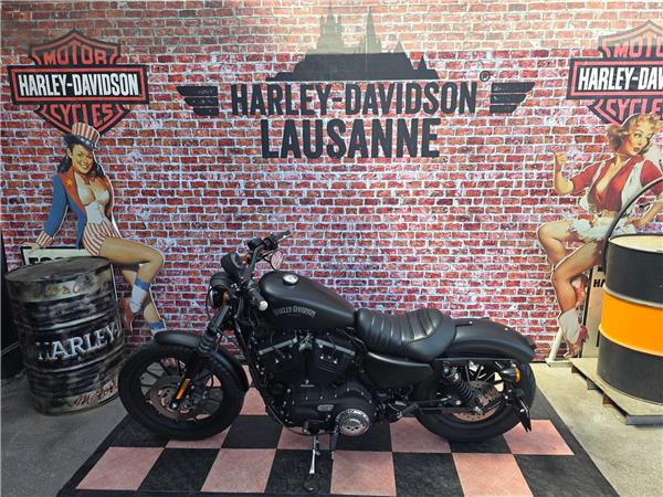 2013 harley-davidson XL 883 N Sportster Iron