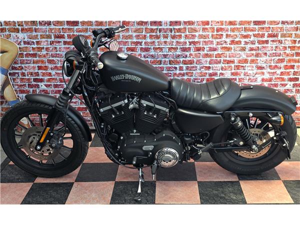 2013 harley-davidson XL 883 N Sportster Iron