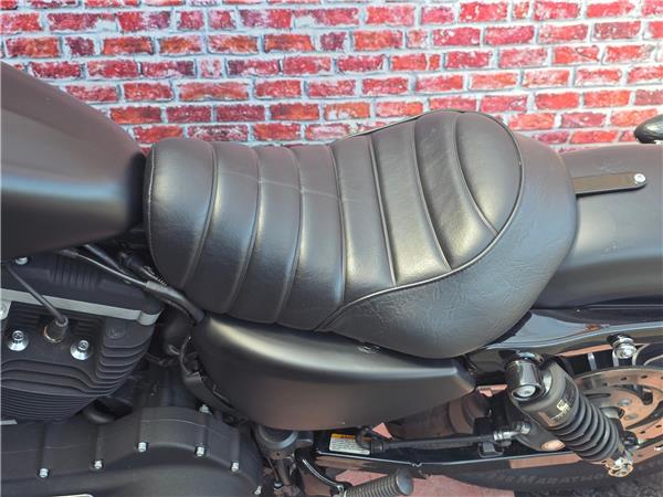 2013 harley-davidson XL 883 N Sportster Iron