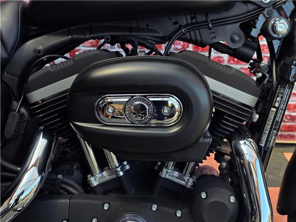 2013 harley-davidson XL 883 N Sportster Iron