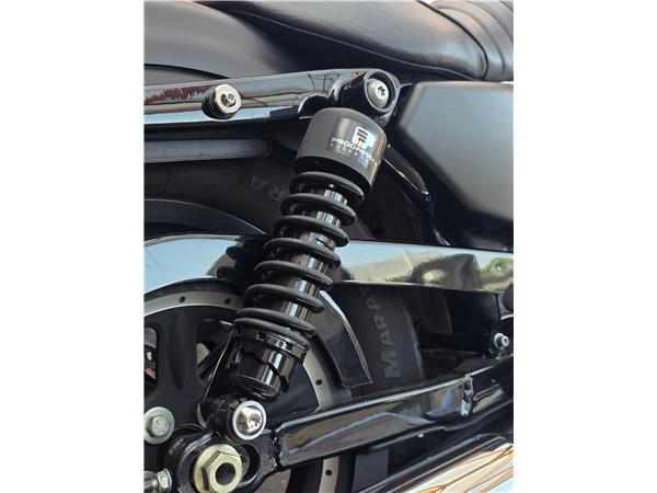 2013 harley-davidson XL 883 N Sportster Iron