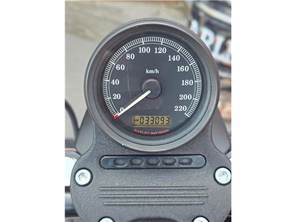 2013 harley-davidson XL 883 N Sportster Iron