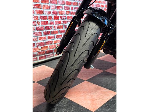 2019 harley-davidson XL 1200 CX Sportster Roadster ABS