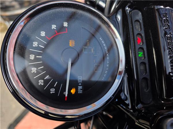 2019 harley-davidson XL 1200 CX Sportster Roadster ABS