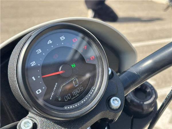 2024 HARLEY-DAVIDSON SOFTAIL FXLRS LOW RIDER S