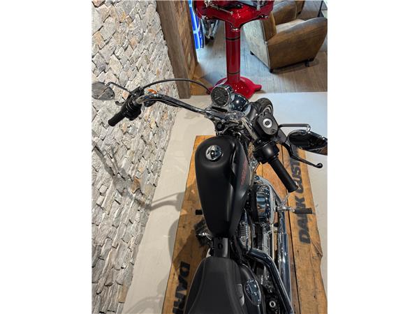 2014 harley-davidson XL 1200 V - Seventy Two