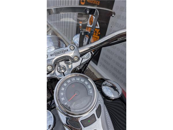 2019 HARLEY-DAVIDSON DELUXE