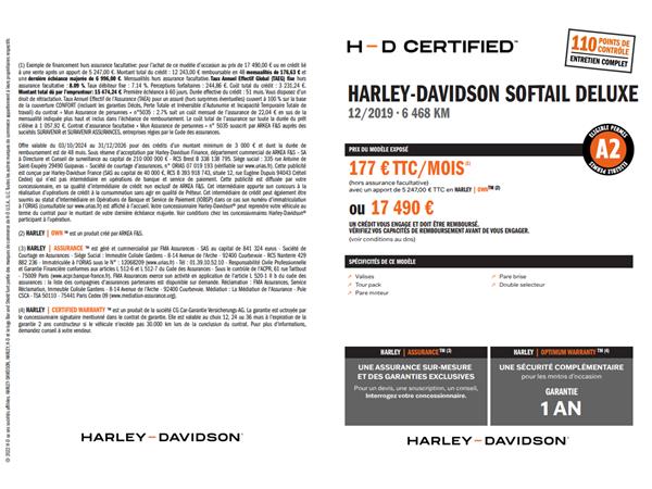 2019 HARLEY-DAVIDSON DELUXE