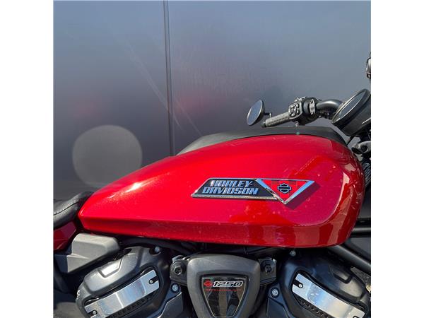 2025 Sportster S