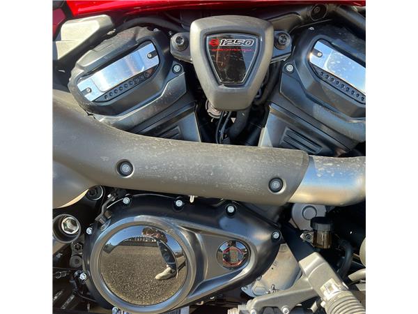 2025 Sportster S