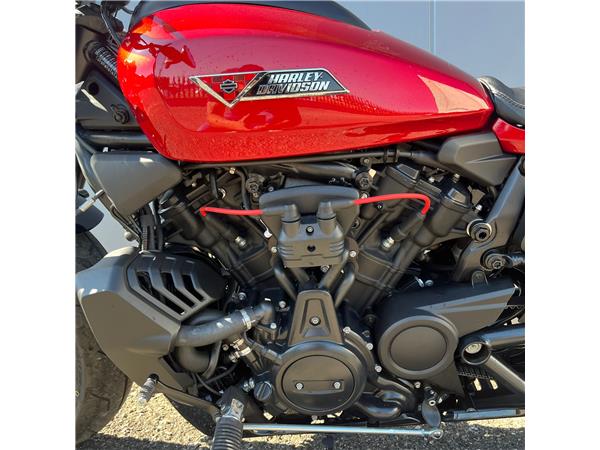 2025 Sportster S