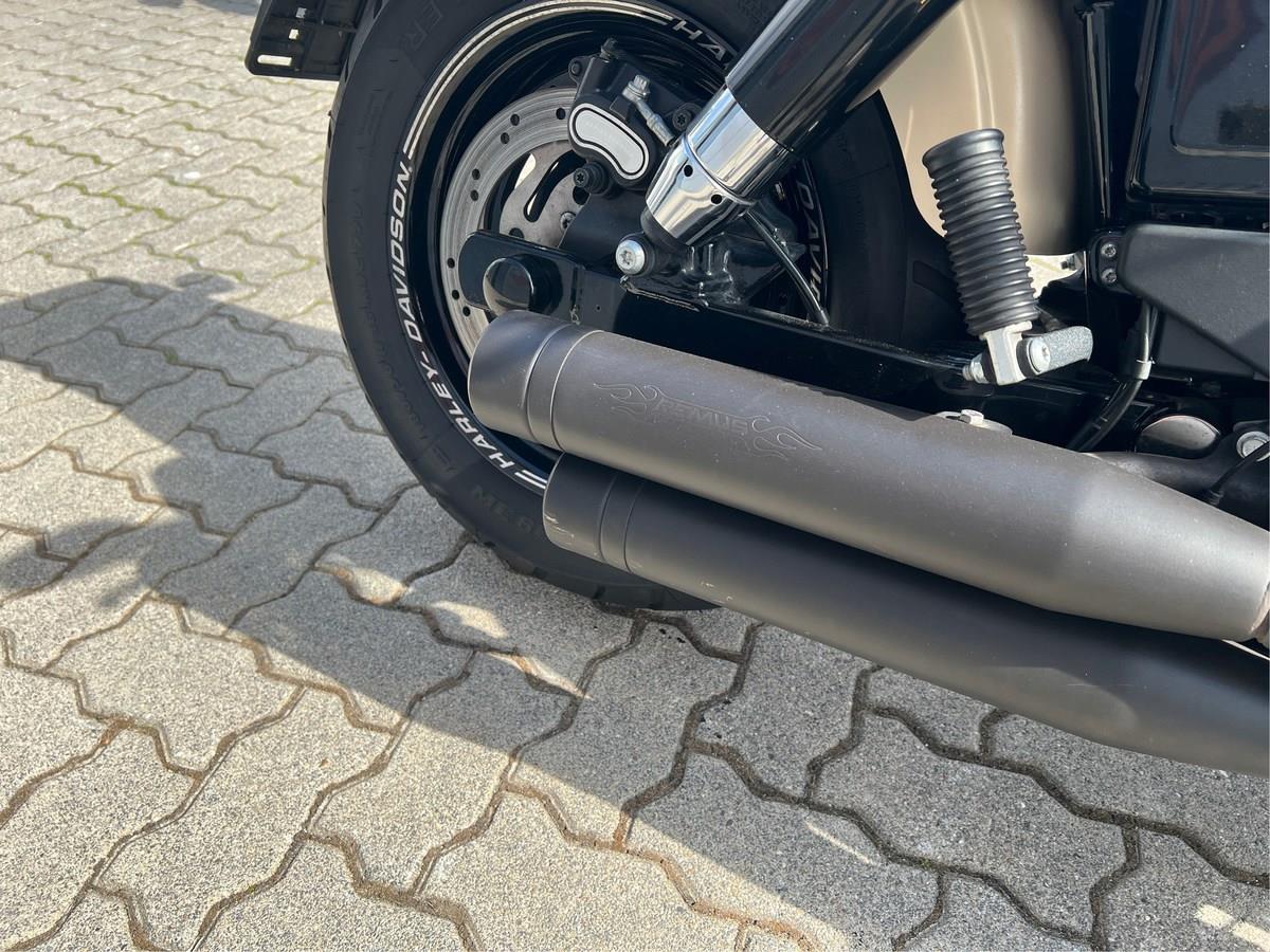 Fat Bob 