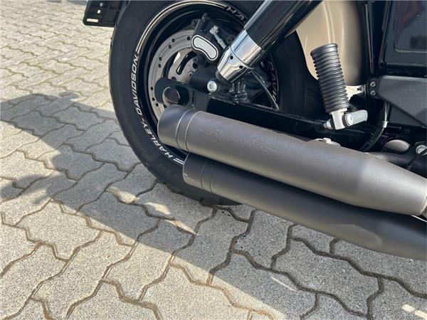 Fat Bob 