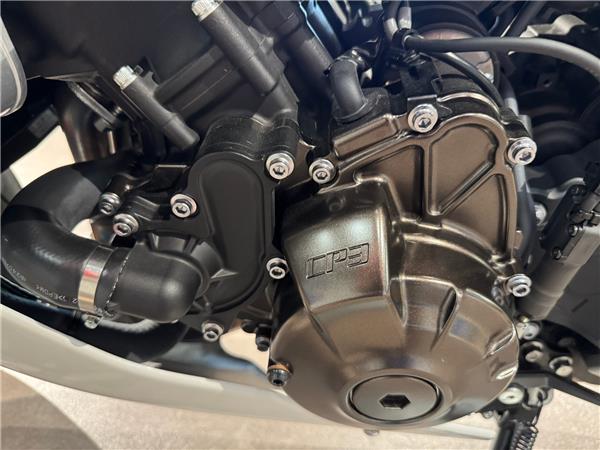 2025 YAMAHA XSR900 GP