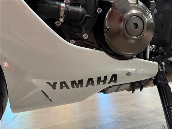 2025 YAMAHA XSR900 GP