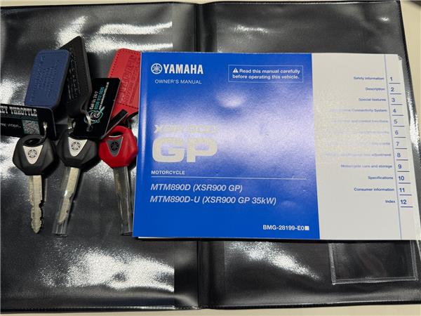 2025 YAMAHA XSR900 GP