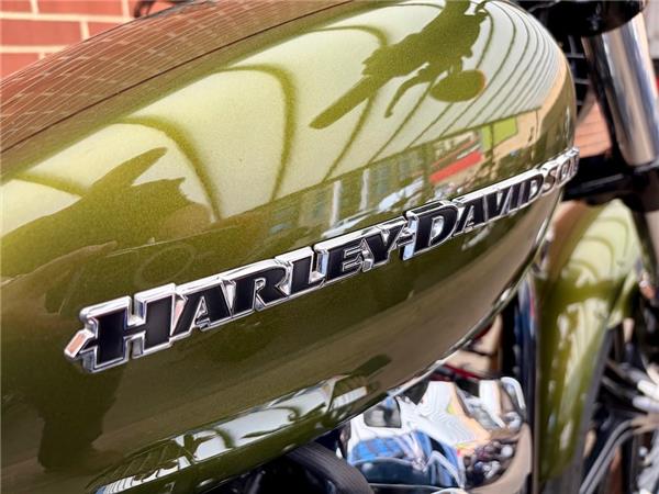 2022 HARLEY-DAVIDSON SOFTAIL FXBRS BREAKOUT 114