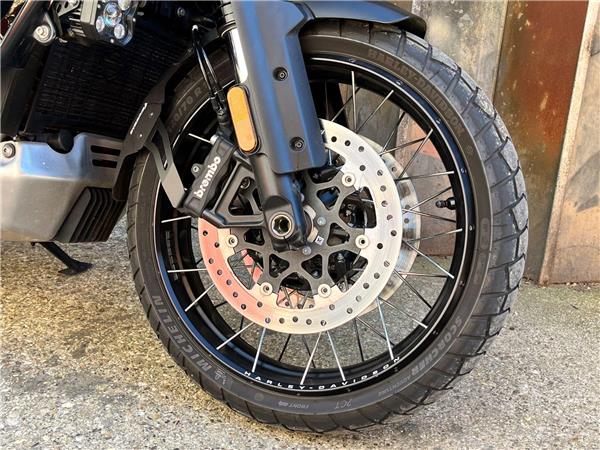 2025 Harley-Davidson Pan America