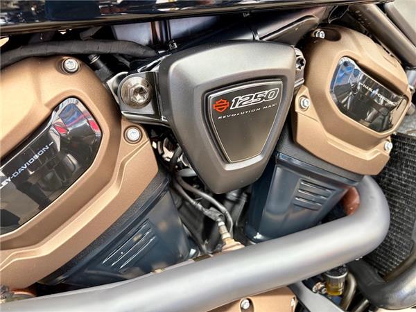 2022 HARLEY-DAVIDSON SPORTSTER S