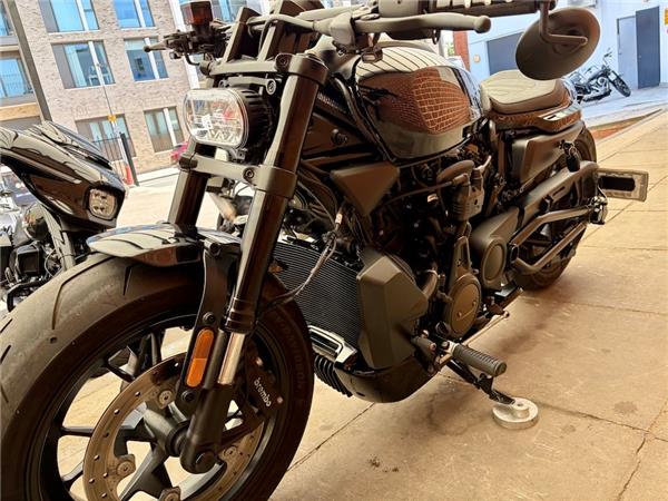 2022 HARLEY-DAVIDSON SPORTSTER S