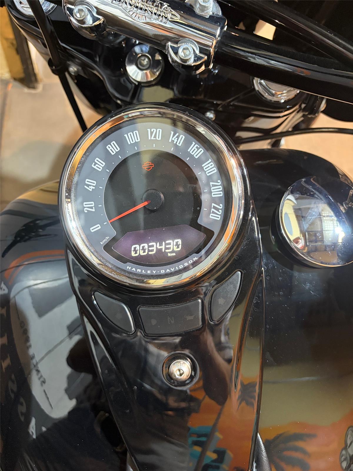 2025 HARLEY-DAVIDSON HERITAGE