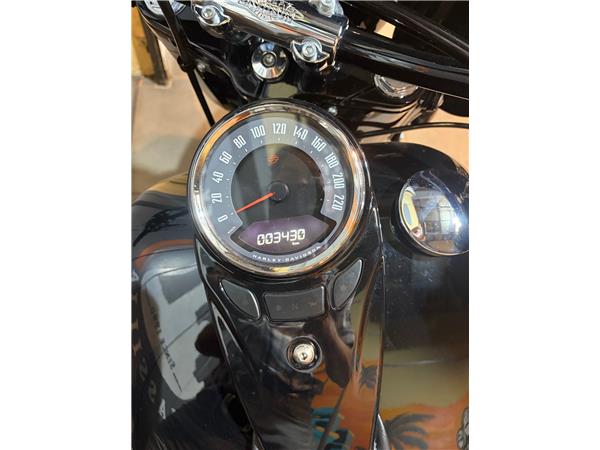 2025 HARLEY-DAVIDSON HERITAGE