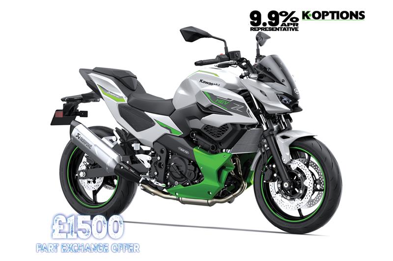 Metallic Bright Silver + Metallic Matte Lime Green + Ebony