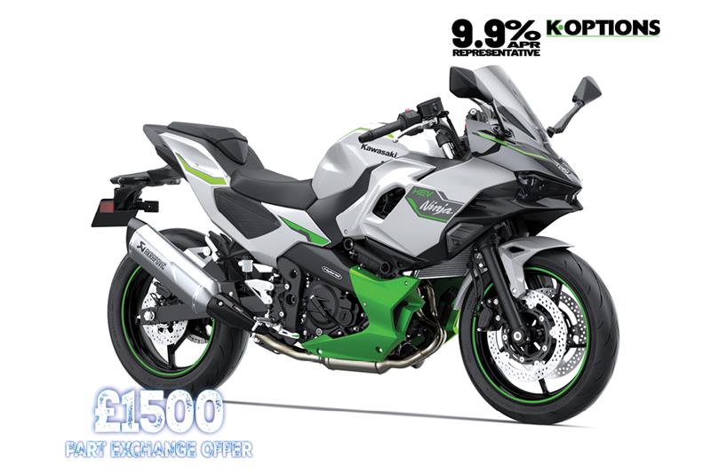 Metallic Bright Silver + Metallic Matte Lime Green + Ebony