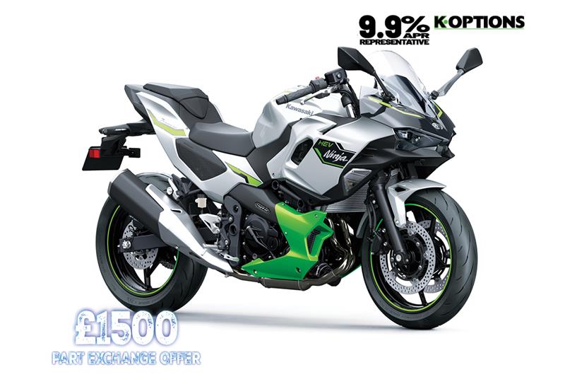Metallic Bright Silver + Metallic Matte Lime Green + Ebony