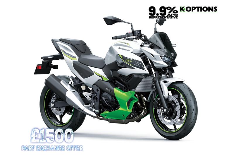 Metallic Bright Silver + Metallic Matte Lime Green + Ebony