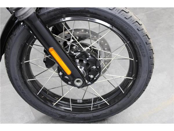 2025 Harley-Davidson Street Bob