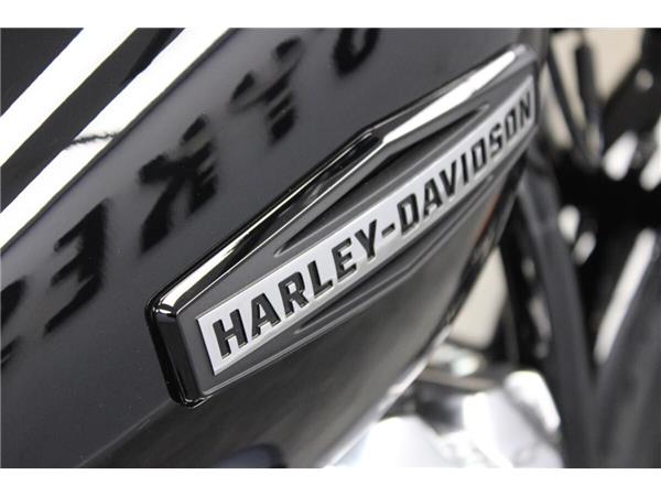 2025 Harley-Davidson Street Bob