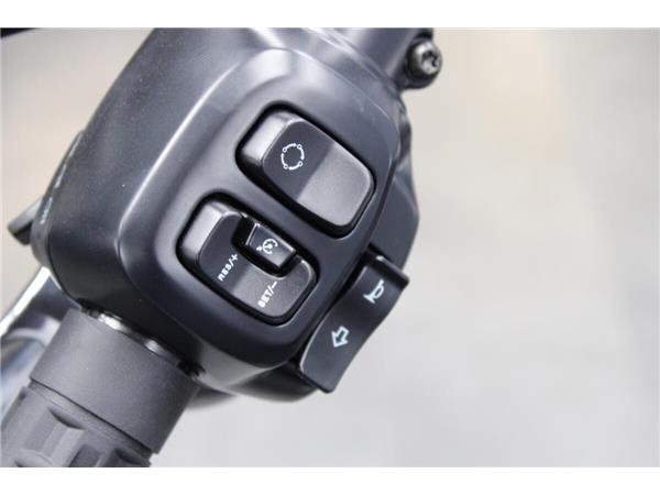 2025 Harley-Davidson Street Bob