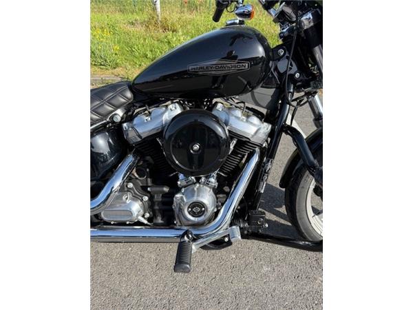 2022 HARLEY-DAVIDSON STANDARD