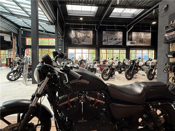 2015 HARLEY-DAVIDSON IRON